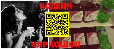 индика Камень-на-Оби