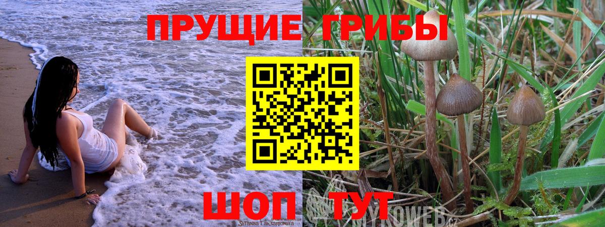 Кинель  цены наркотик  Вход с VPN  Галлюциногенные грибы Cubensis 